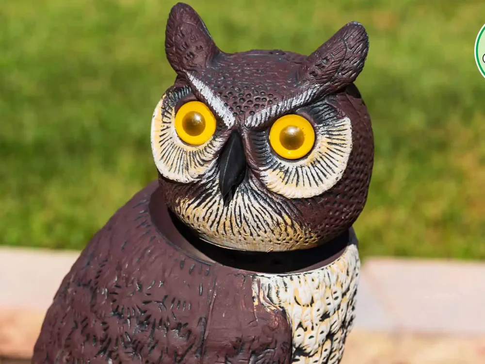 Rules Guy: Do I get free relief if my ball hits a fake bird?​